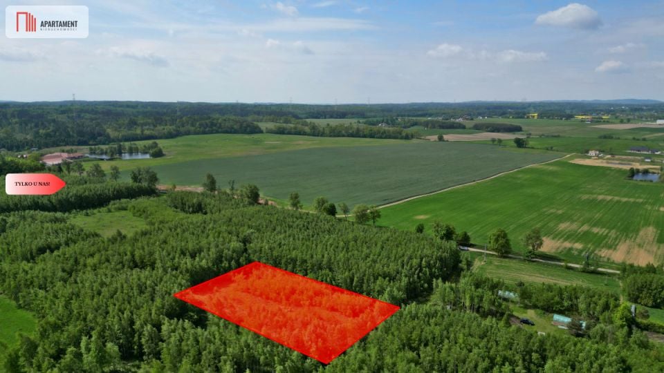 Działka Borcz