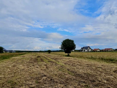 Działka budowlana Pęgów