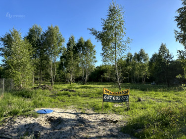Działka Kiki