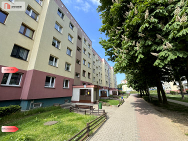 Mieszkanie Głogów