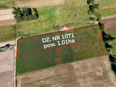 Działka Rębków