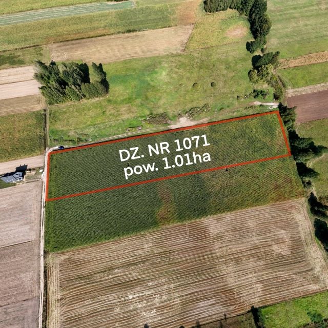 Działka Rębków