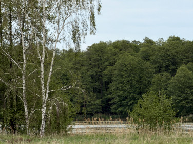Działka budowlano-rolna Zabór