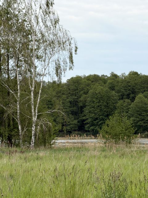 Działka budowlano-rolna Zabór