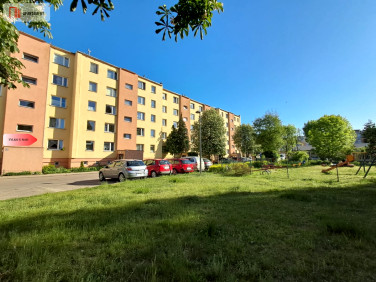 Mieszkanie Tczew