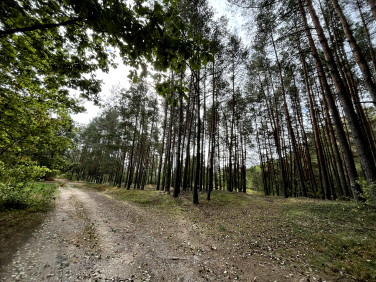 Działka Pustelnik