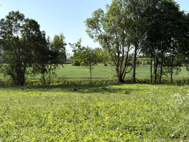 Działka Wola Pękoszewska