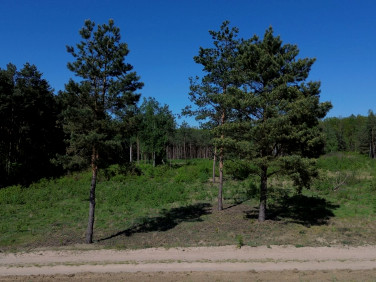 Działka Serock