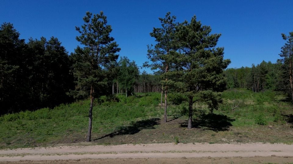 Działka Serock