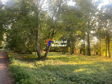 Działka inna Cybulice