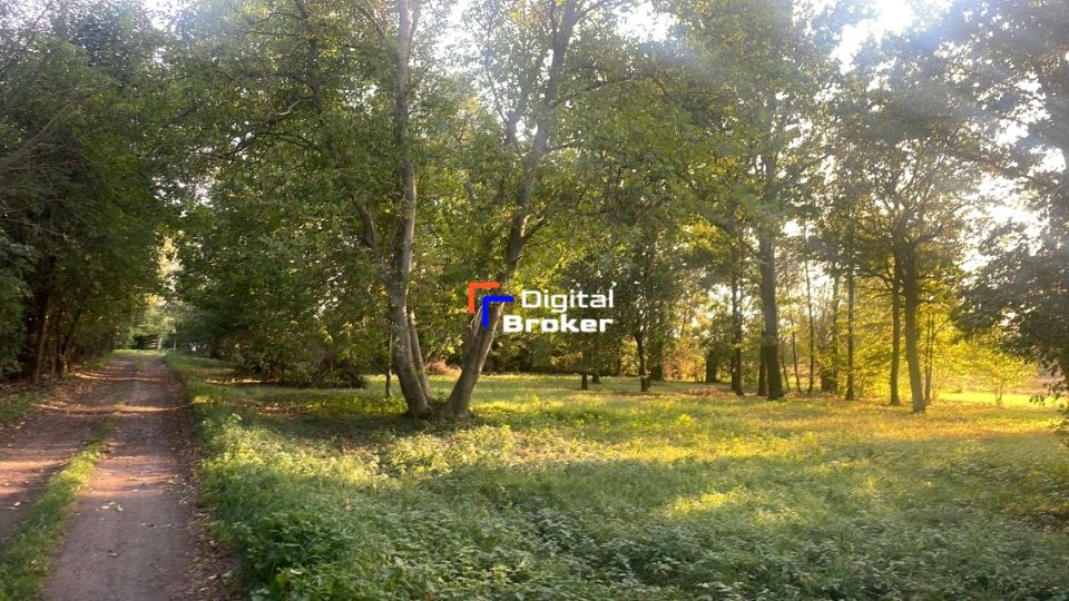 Działka inna Cybulice