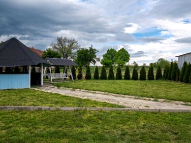 Działka Bożnów
