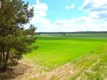 Działka inna Brzozie