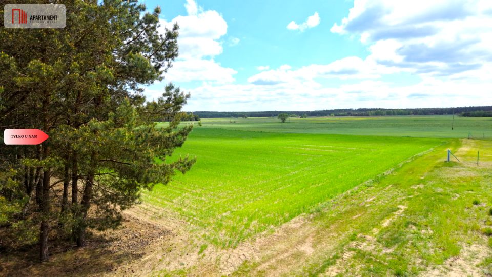 Działka inna Brzozie