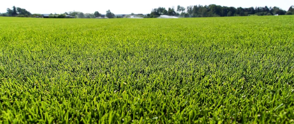 Działka budowlana Księżyno-Kolonia