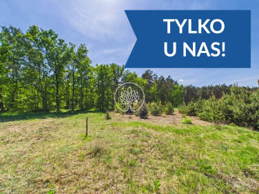 Działka budowlana Kobylarnia