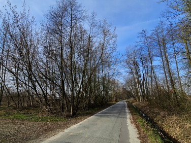 Działka usługowa Wierzchosławice