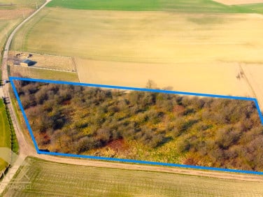 Działka Czernica