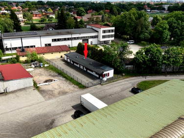 Lokal Tychy