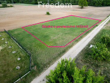 Działka Szeplerzyzna