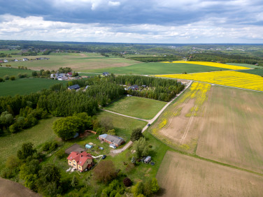 Działka Lisewiec