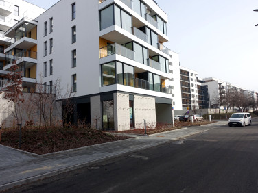 Lokal Warszawa