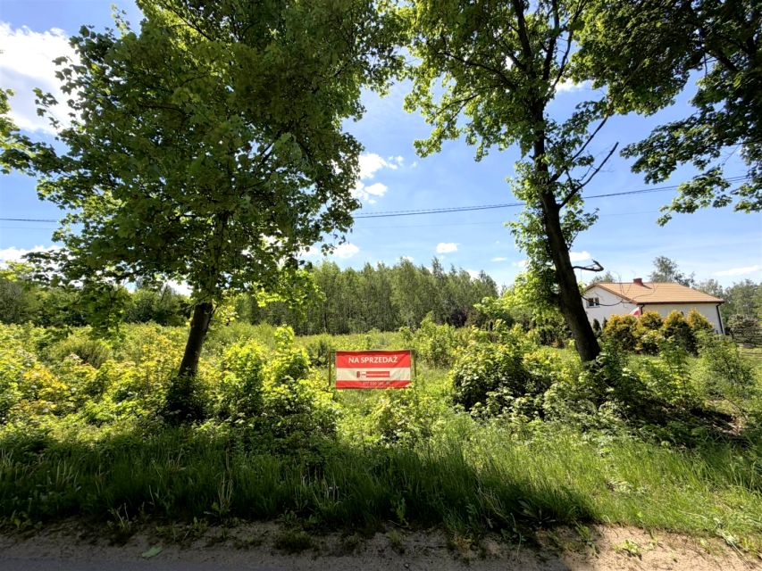 Zdjęcie 2
