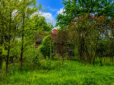 Dom Dąbrowica