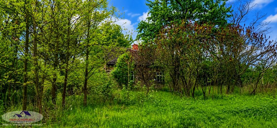 Dom Dąbrowica