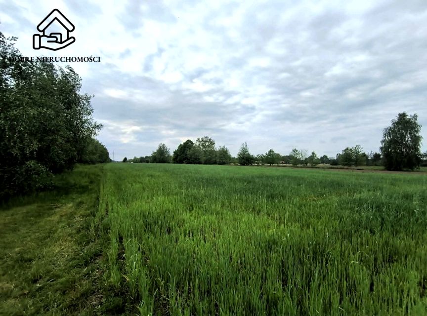 Działka Wincentów