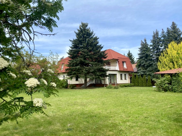 Dom Piastów