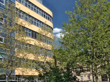Lokal Warszawa