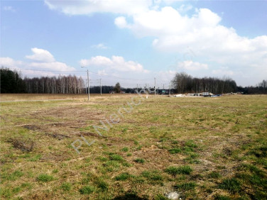 Działka Targówka
