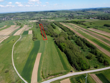 Działka rolna Stary Żmigród