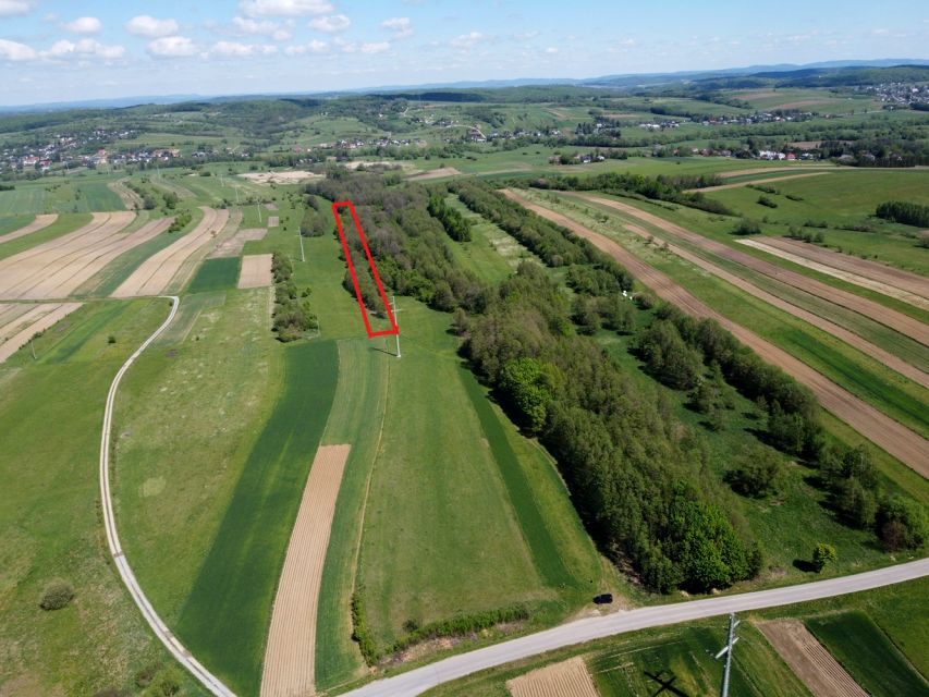 Działka rolna Stary Żmigród