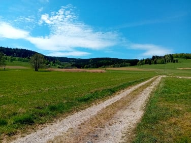 Działka Stronie Śląskie