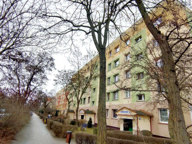 Mieszkanie Legnica