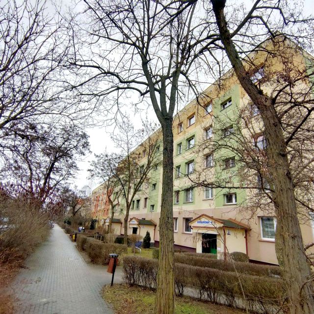 Mieszkanie Legnica