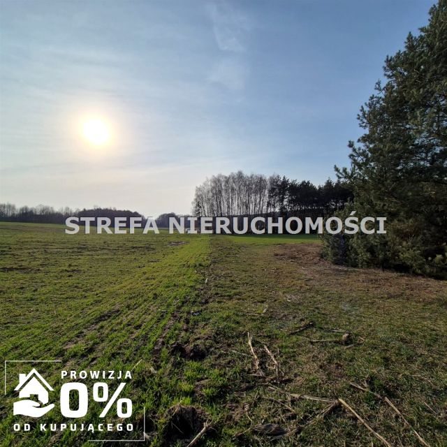 Działka budowlano-rolna Łaknarz