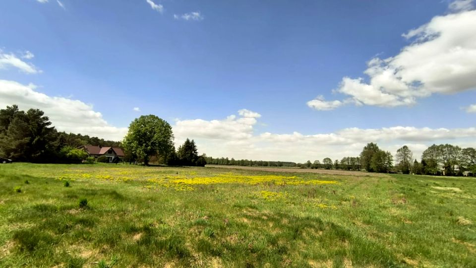 Działka budowlana Stefanowice