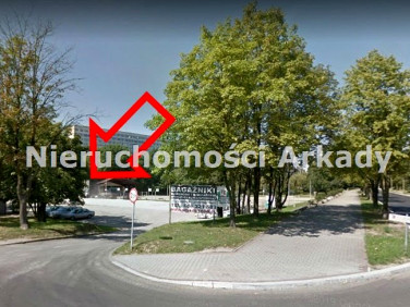 Lokal Jastrzębie-Zdrój