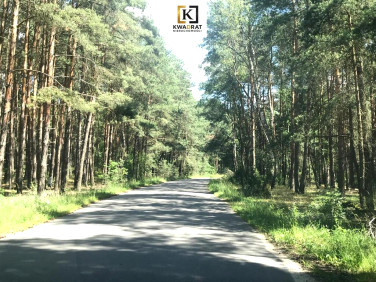 Działka Borówek