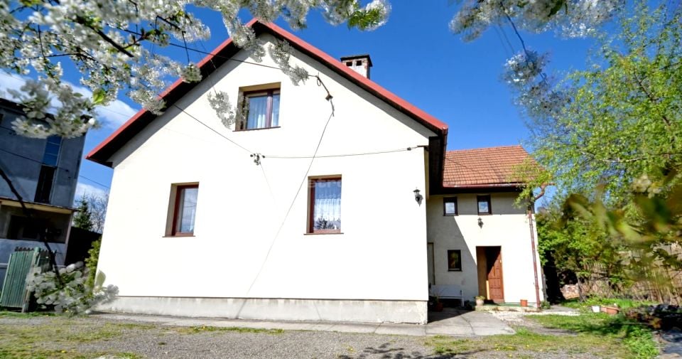 Zdjęcie 2