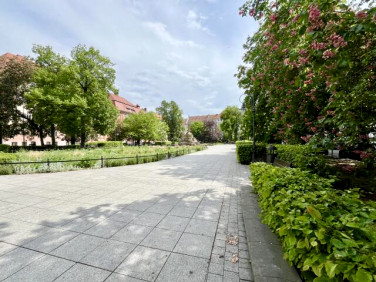 Lokal Opole
