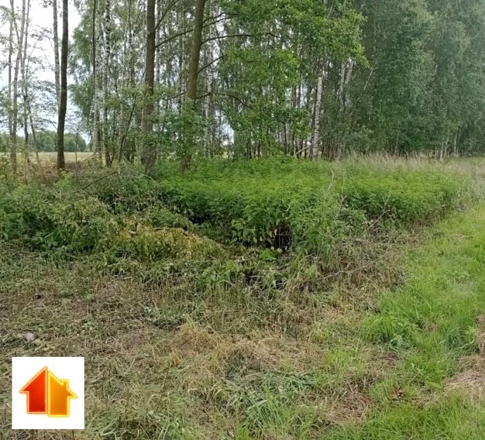 Działka budowlana Kąty Trzebuskie