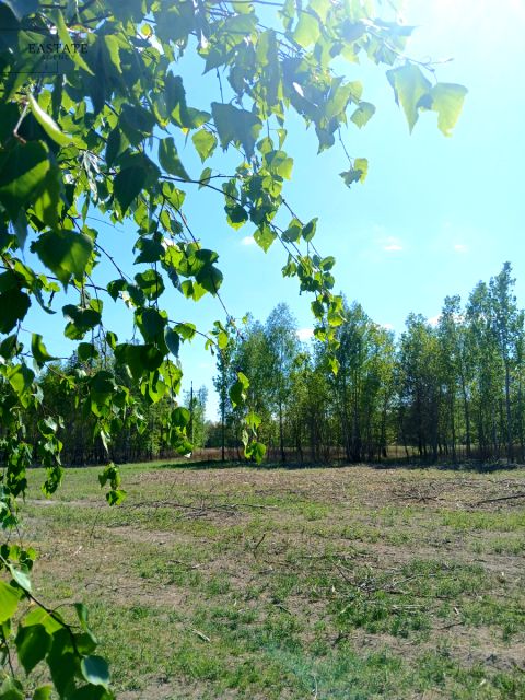 Działka Koryta