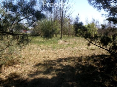 Działka Toruń