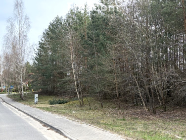 Działka budowlana Golub-Dobrzyń