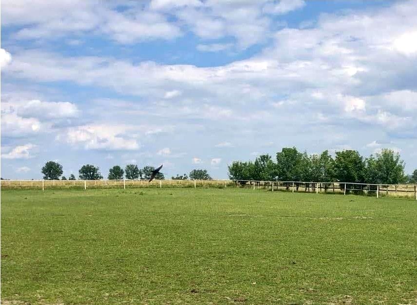 Działka Parzęczew