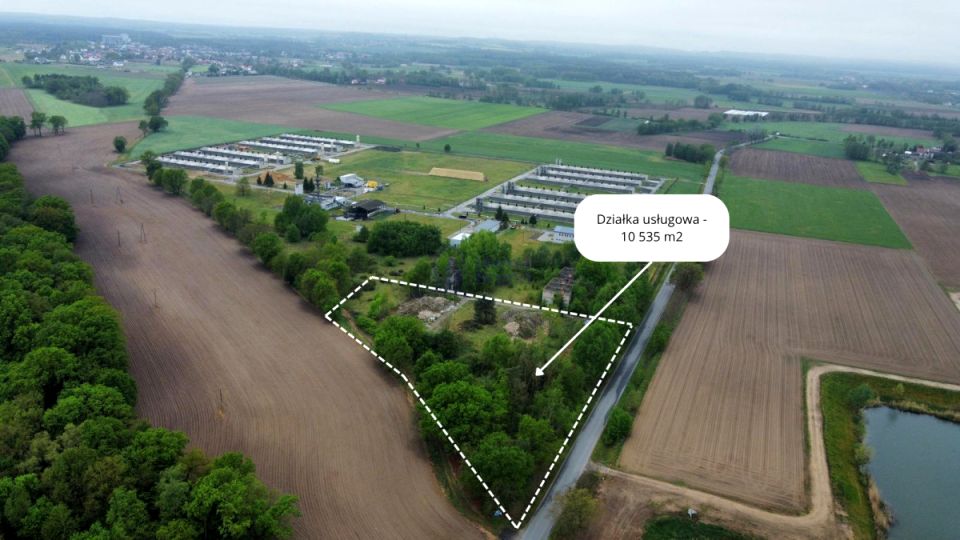 Działka Pększyn